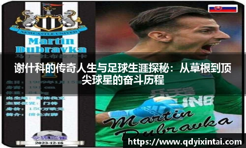 qy千亿官网