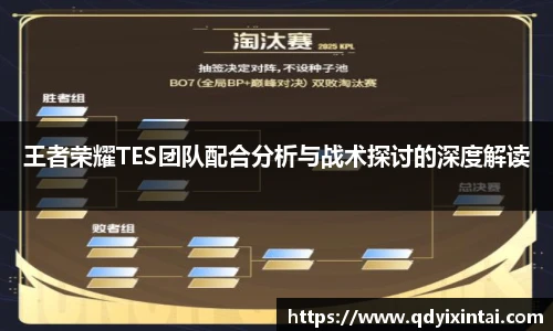 王者荣耀TES团队配合分析与战术探讨的深度解读